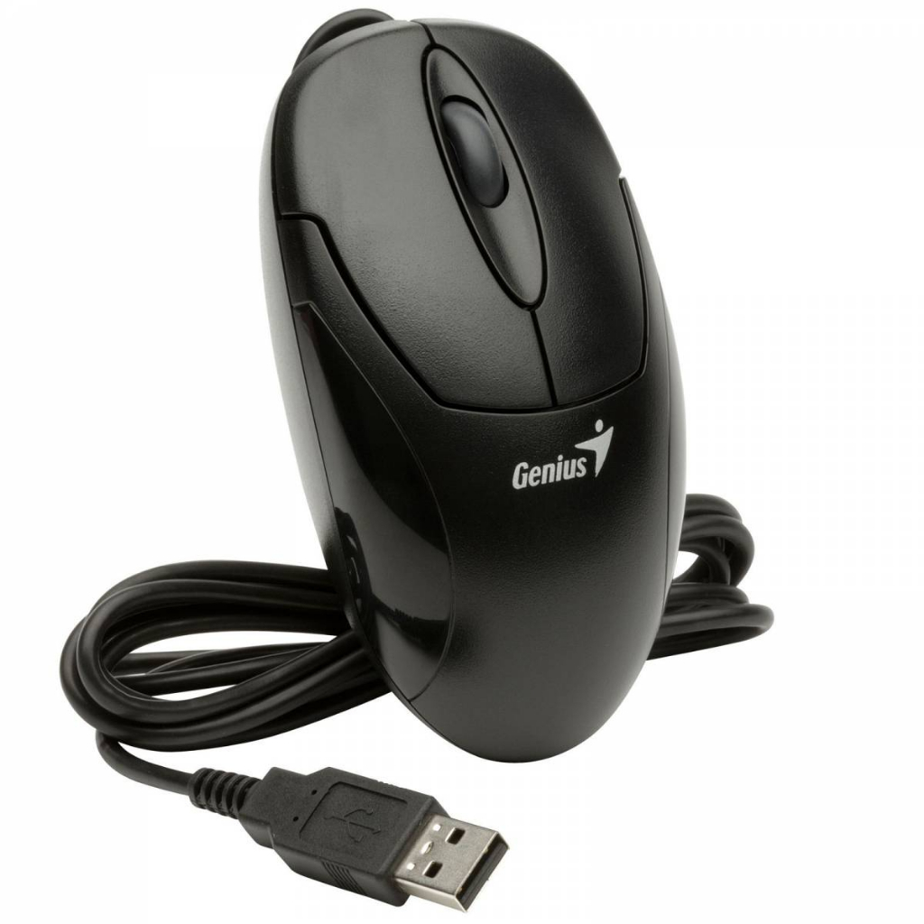 mouse