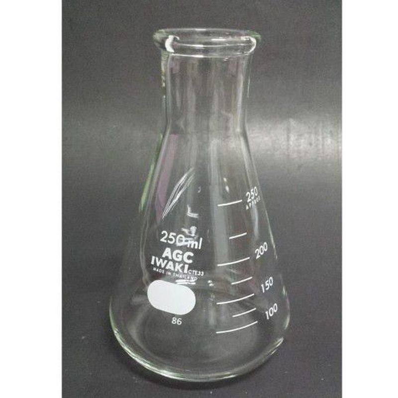 Erlenmeyer 250 mL