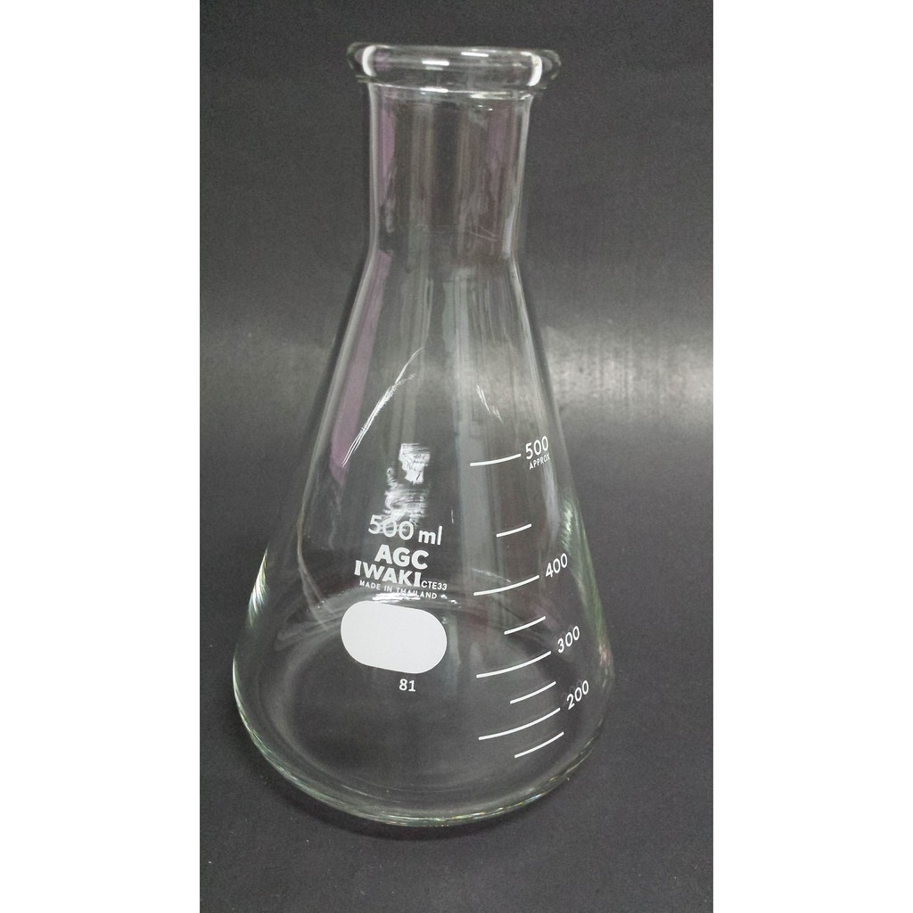 Erlenmeyer 500 mL