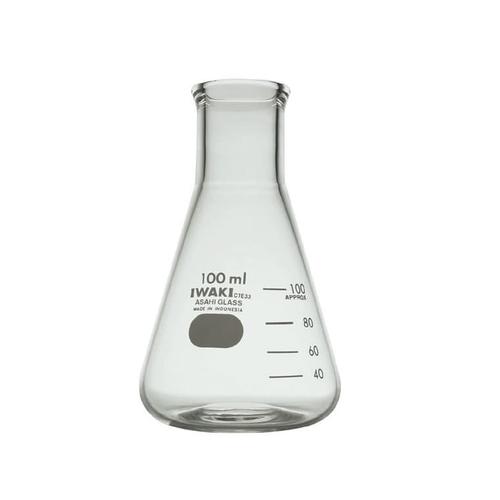 Erlenmeyer 100 mL